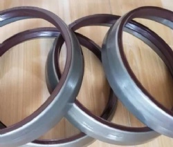 Oil Seals for Volvo Truck OEM 601059/522.880