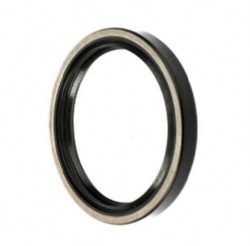 China factory shaft oil seal 80x100x12 crankshaft seal with OEM 1275081 TC FKM for DAF parts